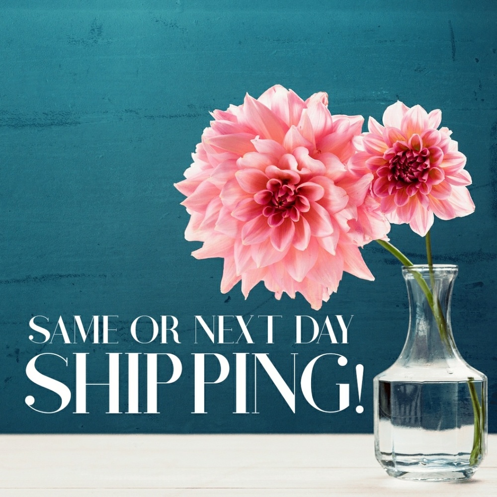 SAME OR NEXT DAY SHIPPING!